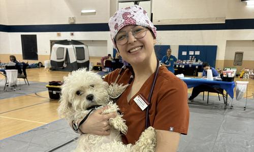 Biology alum practicing to become a veterinary