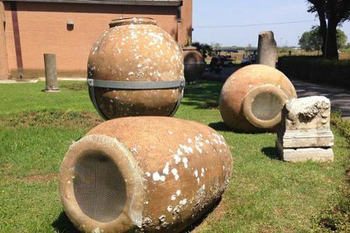 Ancient wine barrels